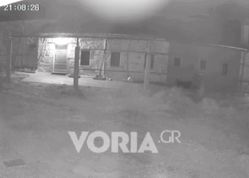 Σεισμός στο Άγιο Όρος: Δείτε βίντεο από τη στιγμή που τα 4,9 Ρίχτερ ταρακουνάνε την περιοχή