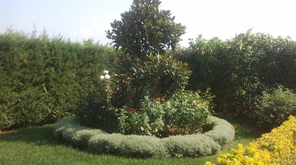 Θεσσαλονίκη: Απατεώνες ανάγκασαν 76χρονη να ξεθάψει από τον κήπο της 100.000 ευρώ