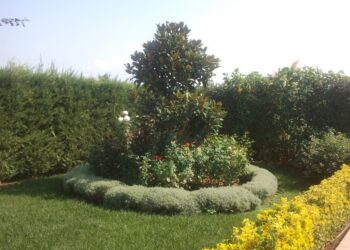 Θεσσαλονίκη: Απατεώνες ανάγκασαν 76χρονη να ξεθάψει από τον κήπο της 100.000 ευρώ