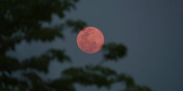 Τα 3 ζώδια που επηρεάζονται από τη ροζ πανσέληνο στις 2 Απριλίου