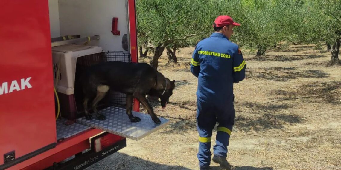Ημαθία: Νεκρός βρέθηκε ο 67χρονος που αγνοούταν – Εντοπίστηκε το αυτοκίνητό του σε αρδευτικό κανάλι