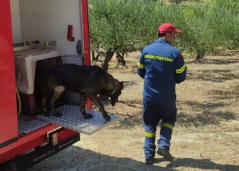 Ημαθία: Νεκρός βρέθηκε ο 67χρονος που αγνοούταν – Εντοπίστηκε το αυτοκίνητό του σε αρδευτικό κανάλι