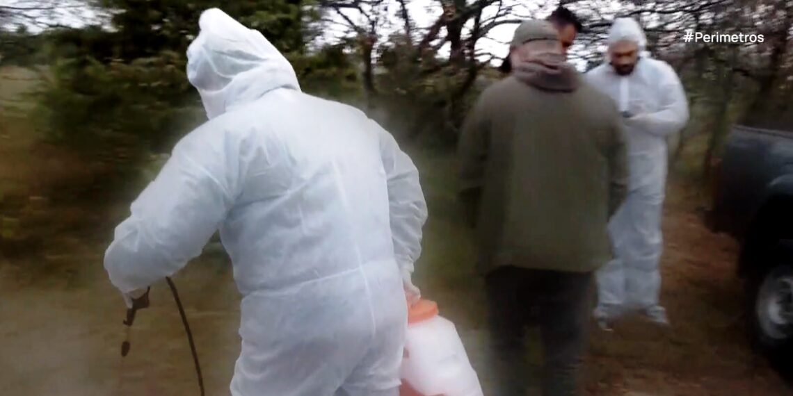 Κοζάνη: Συναγερμός για νεκρά πρόβατα στον Άγιο Ελευθέριο