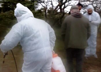 Κοζάνη: Συναγερμός για νεκρά πρόβατα στον Άγιο Ελευθέριο