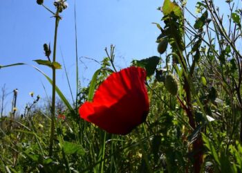 Μετά το Πάσχα… έρχεται νέο διάλειμμα: Πότε “κλείνει” το επόμενο τριήμερο;