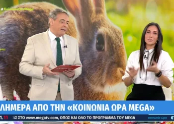 Βούλγαρη σε Χασαπόπουλο: «Πας φιρί φιρί να χωρίσεις» (video)