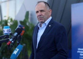 Γεραπετρίτης: Να αρθρώσουμε μία ενιαία, ισχυρή φωνή κατά οποιουδήποτε αναθεωρητισμού