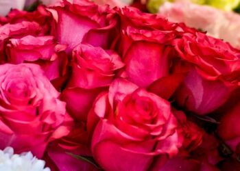 Εορτολόγιο 28 Μαΐου: Ποιοι έχουν σήμερα γιορτή;
