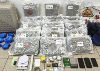 Θεσσαλονίκη: Εξαρθρώθηκε κύκλωμα που διακινούσε Skunk – Κατασχέθηκαν πάνω από 27 κιλά