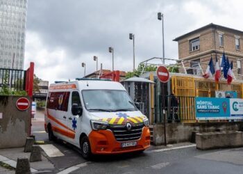 Γαλλία: Προληπτικά μέτρα κατά του χανταϊού λαμβάνουν οι υγειονομικές αρχές
