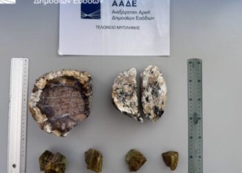 ΑΑΔΕ: Σύλληψη δύο Ολλανδών για κλοπή απολιθωμάτων από το δάσος της Λέσβου