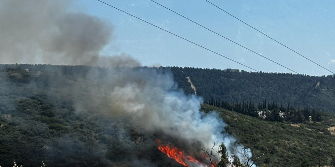 Θεσσαλονίκη: Φωτιά σε χαμηλή βλάστηση στο Φίλυρο – Μεγάλη κινητοποίηση της Πυροσβεστικής – Στη “μάχη” και εναέρια (video)