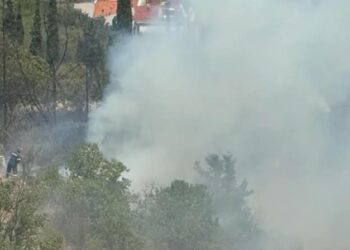 Πυγκαγιά στο Ωραιόκαστρο Θεσσαλονίκης – Ισχυρές πυροσβεστικές δυνάμεις στο σημείο