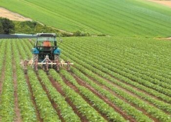 ΥΠΑΑΤ: Στήριξη 44,77 εκατ. ευρώ σε 208 συλλογικά σχήματα παραγωγών