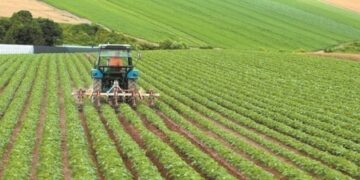 ΥΠΑΑΤ: Στήριξη 44,77 εκατ. ευρώ σε 208 συλλογικά σχήματα παραγωγών