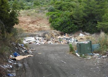 Σιθωνία: Μπάζα και ογκώδη μέσα στο δάσος – Οι φωτογραφίες που ζητούν απαντήσεις