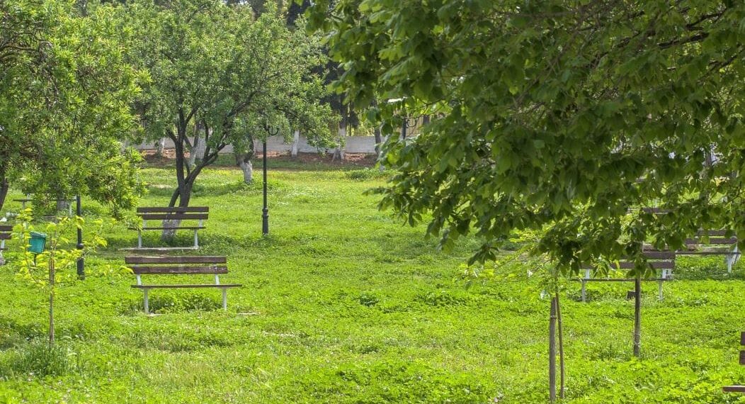 Έργα αντιπυρικής προστασίας ξεκινούν στον λόφο Ανάληψης στην Πυλαία