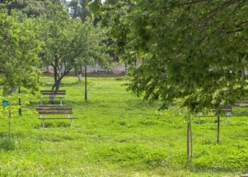 Έργα αντιπυρικής προστασίας ξεκινούν στον λόφο Ανάληψης στην Πυλαία
