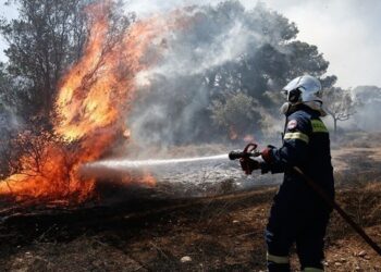 Θεσσαλονίκη: Συνεχίζεται η επιχείρηση για την κατάσβεση της φωτιάς στην Περαία