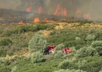 Γρεβενά: Πυρκαγιά στη θέση «Αβγό» στη Βάλια Κάλντα