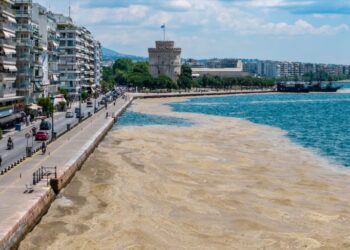 Επιμένει η «ερυθρά παλίρροια» στον Θερμαϊκό (VIDEO)
