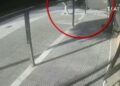 Νέοι Επιβάτες: Η στιγμή που αυτοκίνητο «καρφώθηκε» σε παντοπωλείο! (VIDEO)
