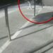 Νέοι Επιβάτες: Η στιγμή που αυτοκίνητο «καρφώθηκε» σε παντοπωλείο! (VIDEO)
