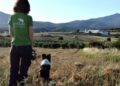 Θεσσαλονίκη: Σκύλοι ανιχνευτές δολωμάτων, ναρκωτικών και όπλων