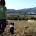 Θεσσαλονίκη: Σκύλοι ανιχνευτές δολωμάτων, ναρκωτικών και όπλων