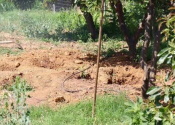 Χανιά: Δεμένη και φιμωμένη βρέθηκε η 45χρονη Σταυρούλα Λεβεντάκη (Video)