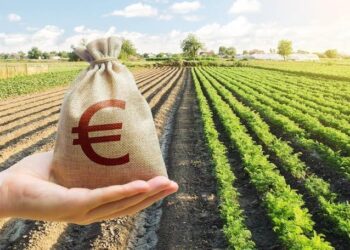 Είναι ώρα: Πληρώνονται αγροτικές ενισχύσεις ύψους 617 εκατ. ευρώ