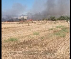 Θεσσαλονίκη: Οριοθετήθηκε η πυρκαγιά σε χορτολιβαδική έκταση κοντά στη Χρυσαυγή Λαγκαδά