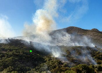 Λάρισα: Πυρκαγιά σε αγροτοδασική έκταση στον Αργυρόμυλο
