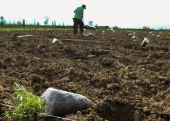 Τέλος στις διεκδικήσεις αγροτικών ακινήτων από το Δημόσιο