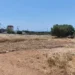 Χαλκιδική: Καθαρίστηκε η περιοχή γύρω από το νεκροταφείο της Νέας Τρίγλιας