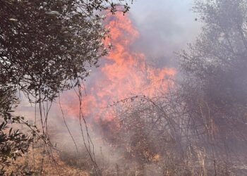 Πυρκαγιά σε αγροτοδασική έκταση στα Μέθανα