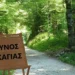 Απαγόρευση κυκλοφορίας σήμερα στα δάση της Χαλκιδικής λόγω υψηλού κινδύνου πυρκαγιάς