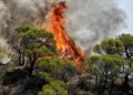 Πολύ υψηλός κίνδυνος πυρκαγιάς σε πέντε Περιφέρειες της χώρας