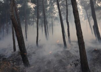 Χωρίς ενεργό μέτωπο η φωτιά στη Λητή – Στη «μάχη» όλη τη νύχτα η Πυροσβεστική – Δύο νεκροί και μία τραυματίας στη Λητή από την πυρκαγιά