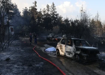 Βίντεο-ντοκουμέντο δείχνει την έναρξη της πυρκαγιάς στη Λητή που έκαψε πατέρα και γιο