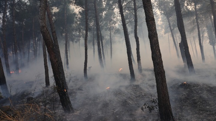 Χωρίς ενεργό μέτωπο η φωτιά στη Λητή – Στη «μάχη» όλη τη νύχτα η Πυροσβεστική – Δύο νεκροί και μία τραυματίας στη Λητή από την πυρκαγιά