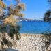 Γερμανός τουρίστας ανασύρθηκε χωρίς τις αισθήσεις του από την παραλία της Γερακινής