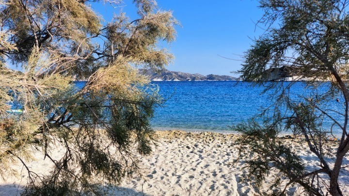 Γερμανός τουρίστας ανασύρθηκε χωρίς τις αισθήσεις του από την παραλία της Γερακινής