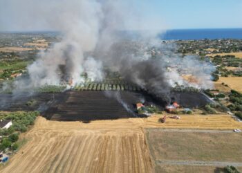 Τέσσερα πύρινα μέτωπα σε Θεσσαλονίκη, Χαλκιδική και Κιλκίς – 112 σε Κουφάλια, Λειψύδριο, Νέους Επιβάτες και Καλλικράτεια (VIDEO)