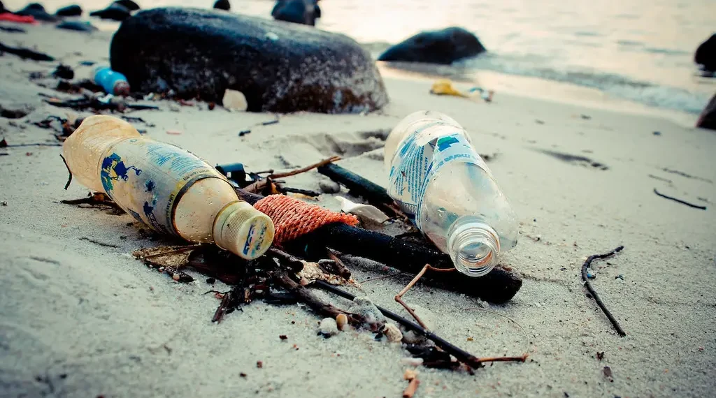 Ανησυχία από το WWF: Αποτσίγαρα και μικροπλαστικά στις ελληνικές παραλίες