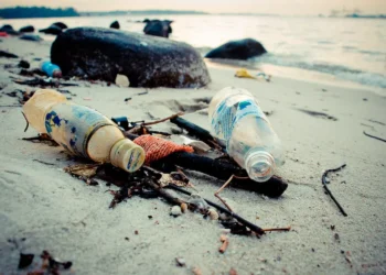 Ανησυχία από το WWF: Αποτσίγαρα και μικροπλαστικά στις ελληνικές παραλίες