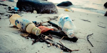 Ανησυχία από το WWF: Αποτσίγαρα και μικροπλαστικά στις ελληνικές παραλίες