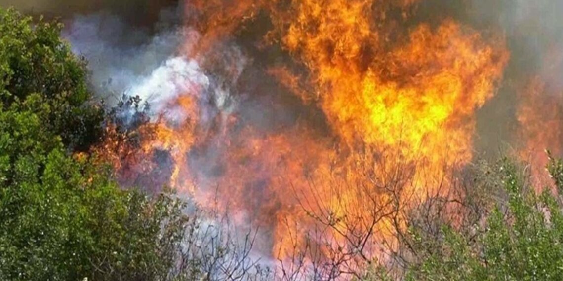 Μήνυμα του 112 για εκκένωση της περιοχής Πανόραμα στη Σαλαμίνα λόγω πυρκαγιάς