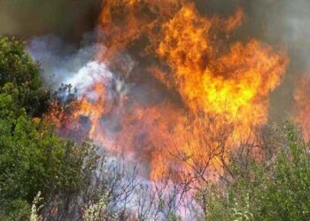 Μήνυμα του 112 για εκκένωση της περιοχής Πανόραμα στη Σαλαμίνα λόγω πυρκαγιάς