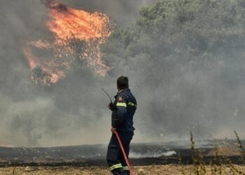 Αττική: Τέθηκε υπό έλεγχο η φωτιά στα Βίλια